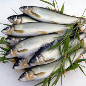 日本古来の食材